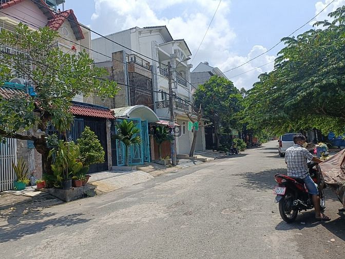 4235474 ảnh đại diện 1