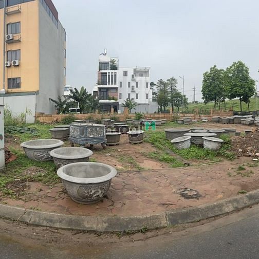 4233339 ảnh đại diện 1