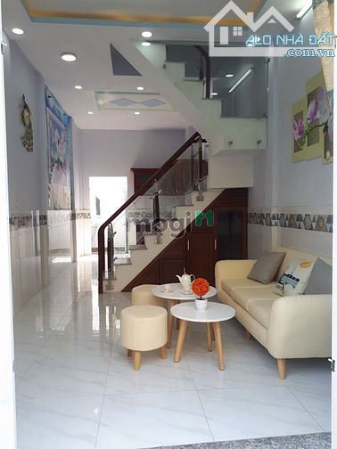 4233297 ảnh đại diện 1