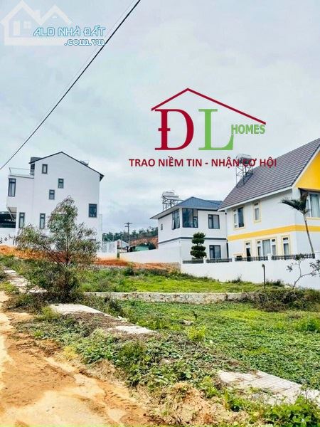 4233243 ảnh đại diện 1