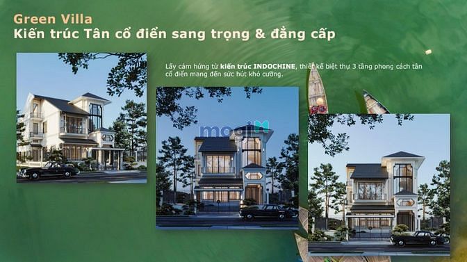 4235312 ảnh đại diện 2