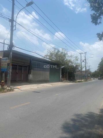 4233163 ảnh đại diện 1