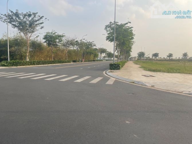 4232797 ảnh đại diện 2