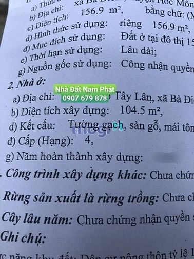 4235475 ảnh đại diện 1