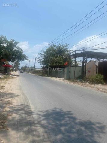 4233163 ảnh đại diện 1