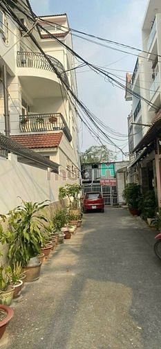 4233503 ảnh đại diện 1