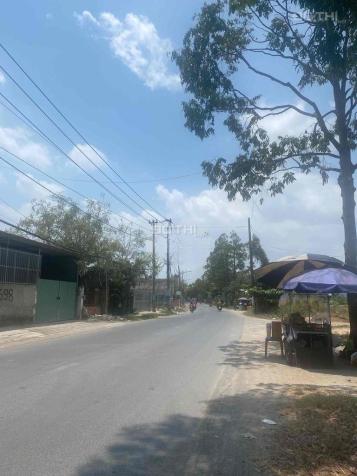 4233163 ảnh đại diện 2