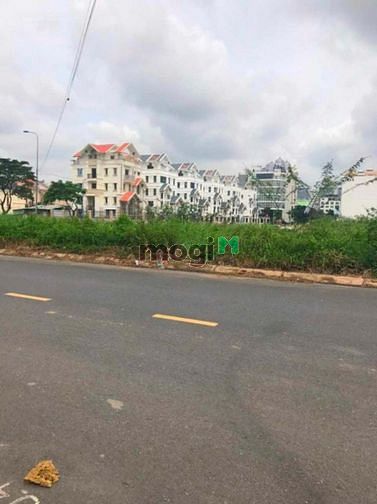4233961 ảnh đại diện 1