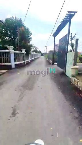 4234227 ảnh đại diện 1