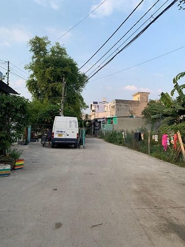 4235472 ảnh đại diện 1
