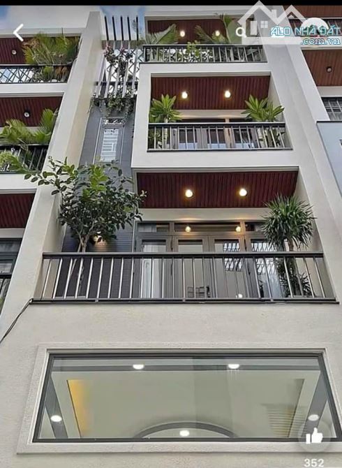4235965 ảnh đại diện 1