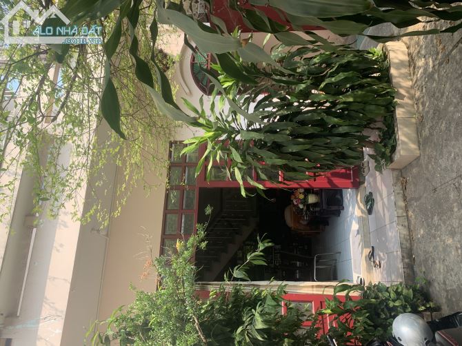 4236725 ảnh đại diện 1