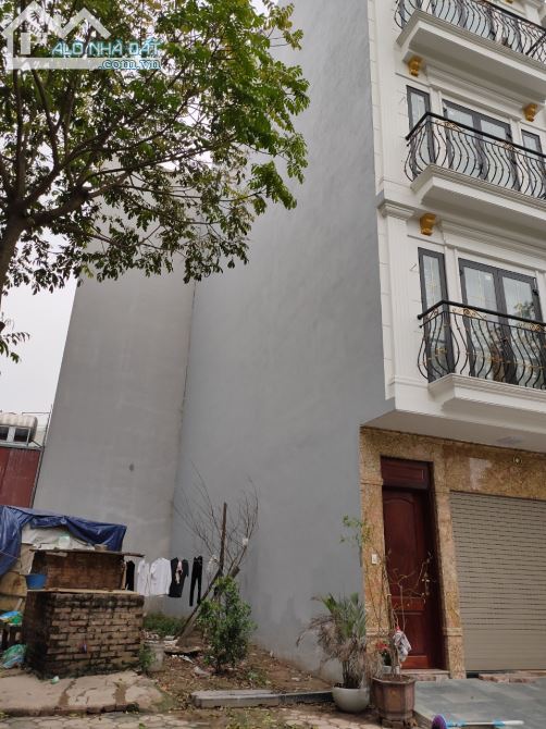 4236011 ảnh đại diện 1