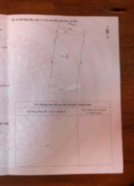 4239132 ảnh đại diện 1