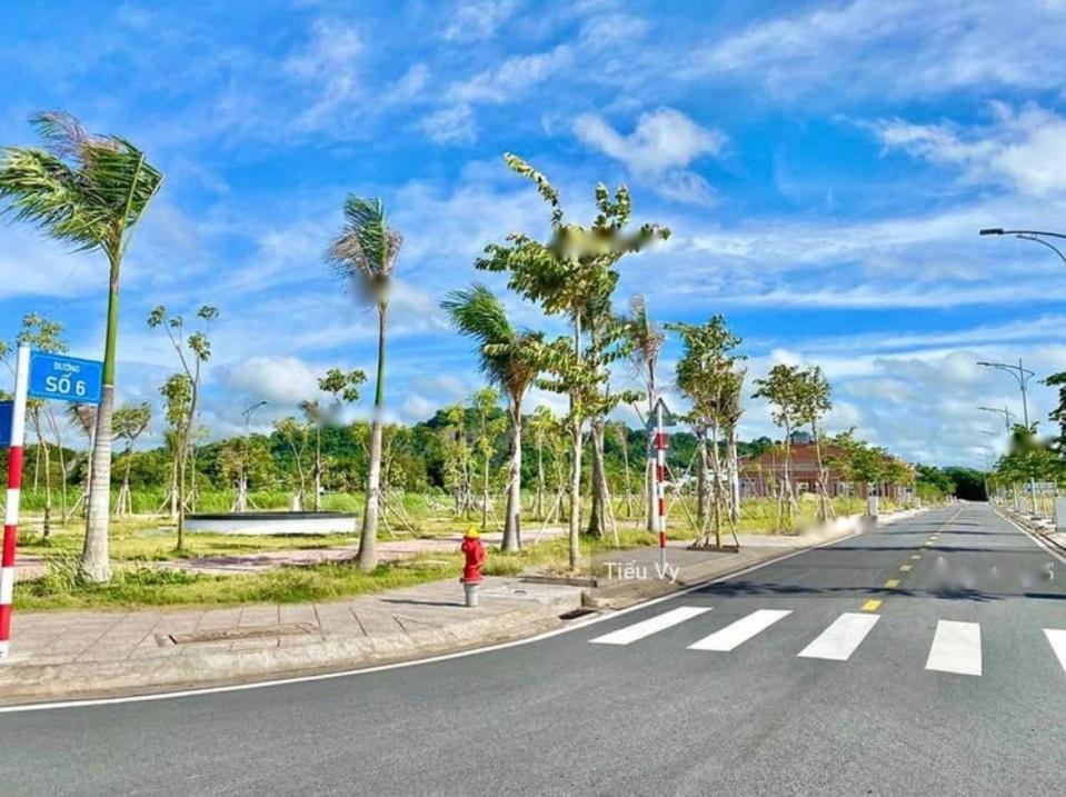 4237839 ảnh đại diện 1