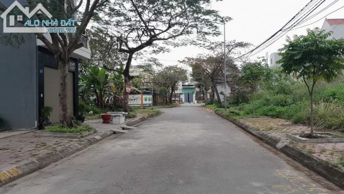 4236875 ảnh đại diện 1
