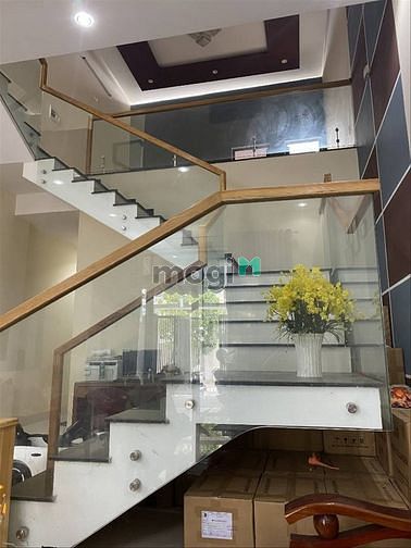 4238258 ảnh đại diện 2