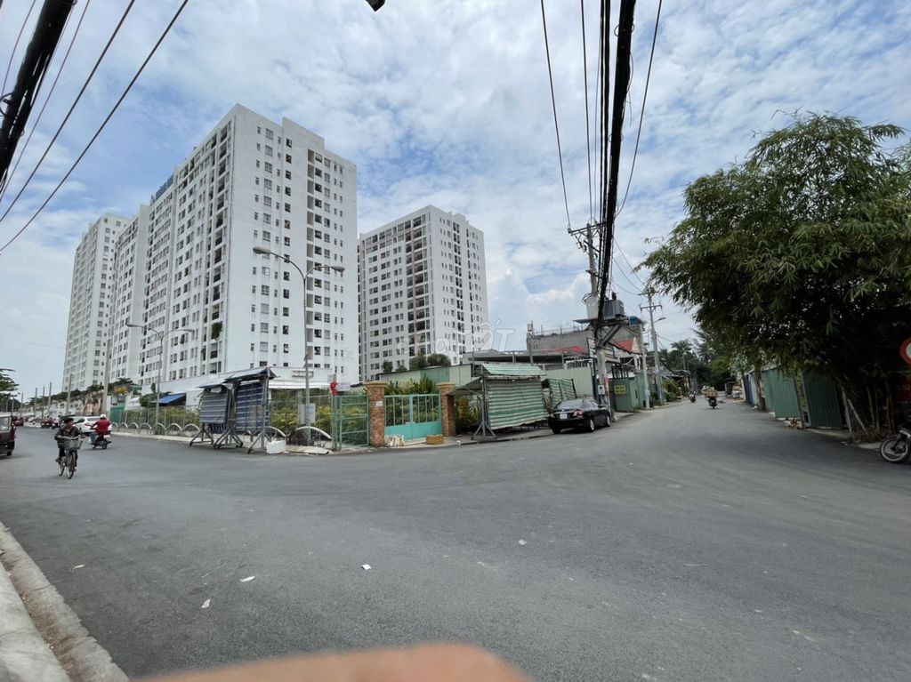 4236046 ảnh đại diện 2