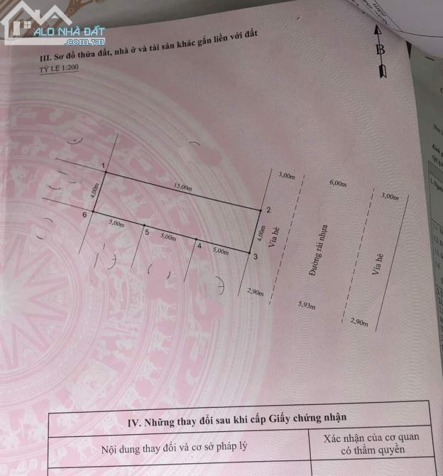 4236875 ảnh đại diện 2