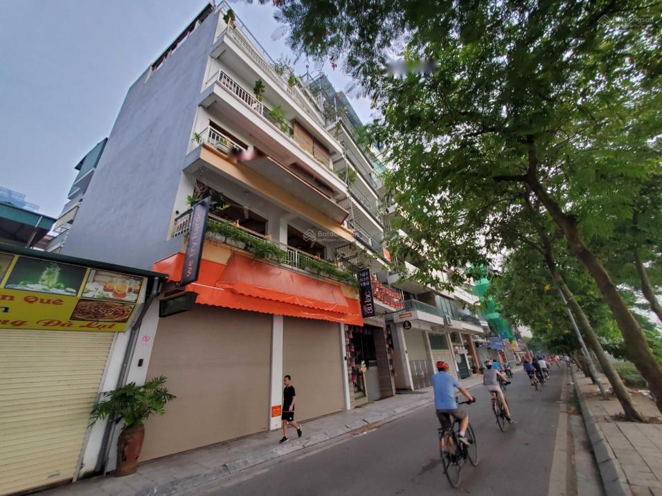 4239097 ảnh đại diện 2