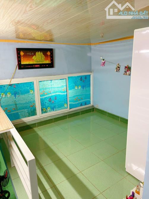 4236883 ảnh đại diện 2