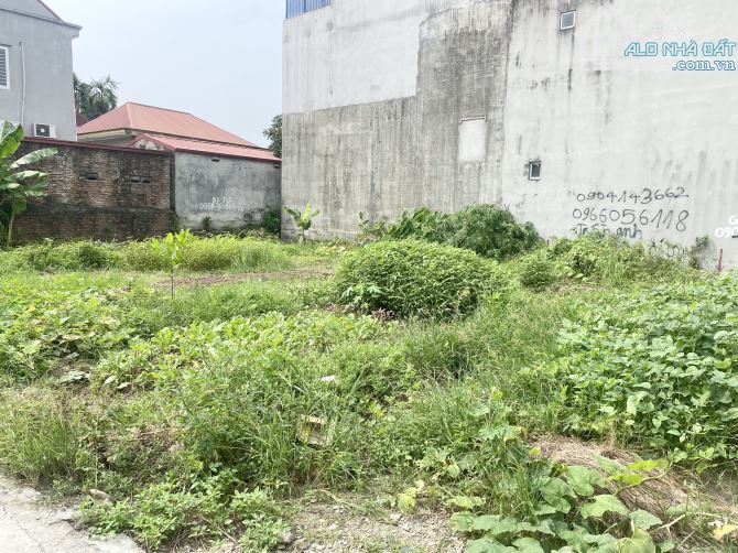 4236877 ảnh đại diện 2