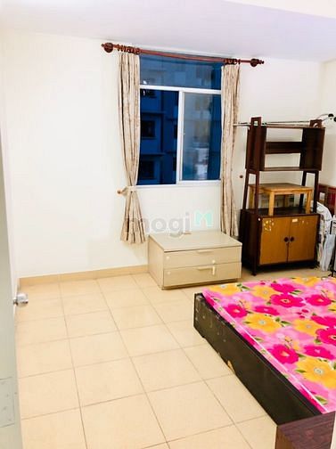 4236034 ảnh đại diện 2