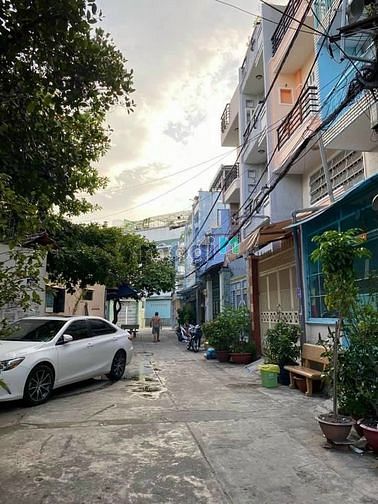 4236686 ảnh đại diện 2