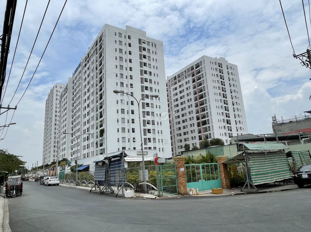 4236046 ảnh đại diện 1