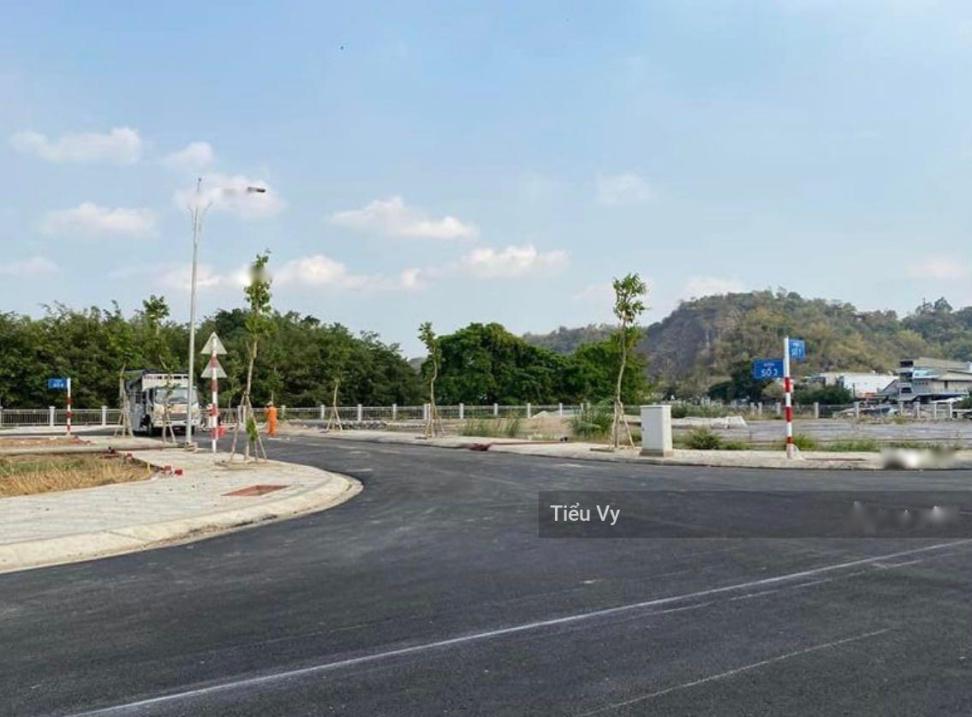 4237839 ảnh đại diện 2