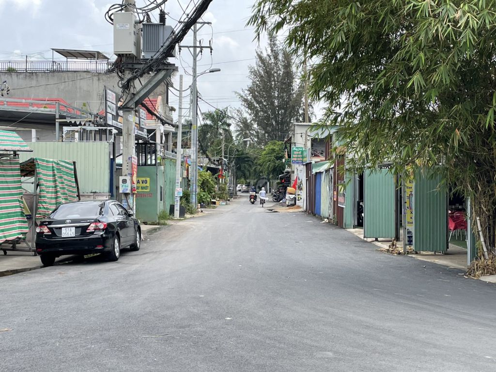 4236046 ảnh đại diện 1