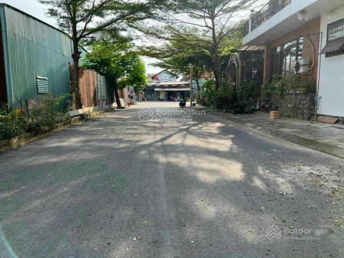 4238221 ảnh đại diện 1