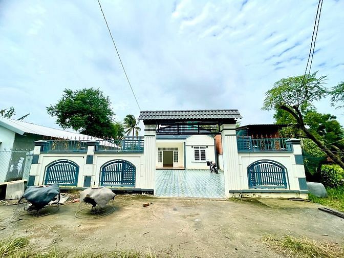 4236597 ảnh đại diện 1