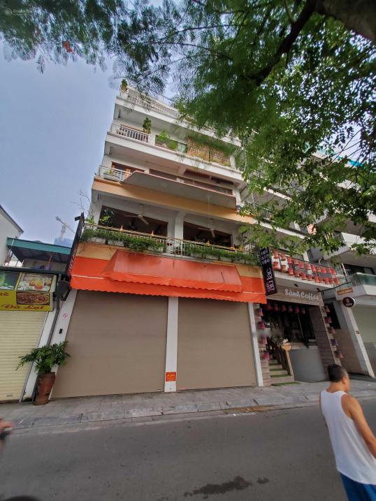 4239097 ảnh đại diện 1