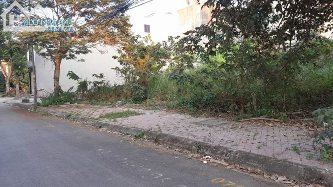 4236872 ảnh đại diện 1