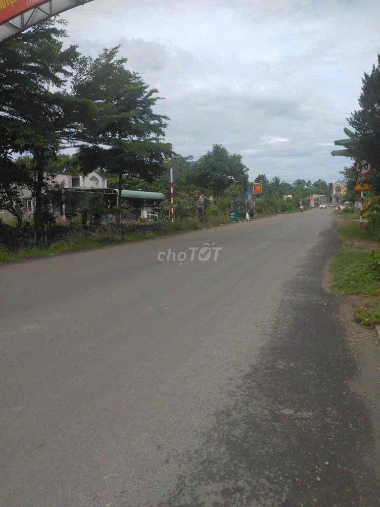 4238500 ảnh đại diện 2