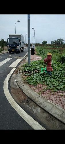 4235894 ảnh đại diện 2