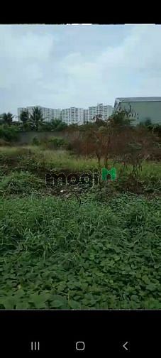 4235894 ảnh đại diện 1