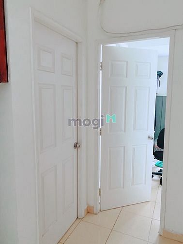 4236035 ảnh đại diện 2