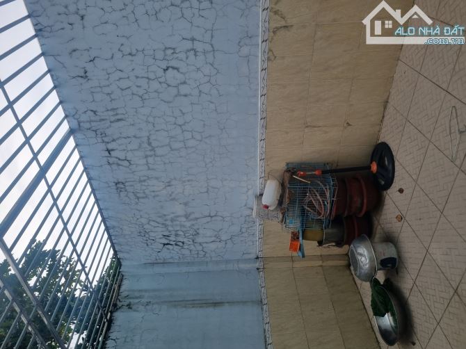 4236205 ảnh đại diện 2
