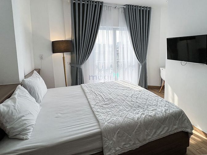 4237231 ảnh đại diện 1