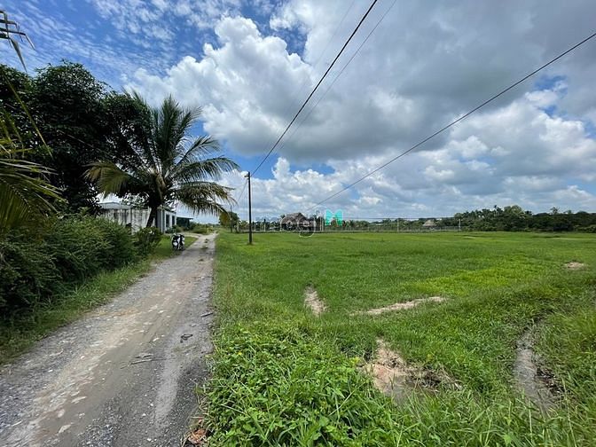 4236605 ảnh đại diện 2