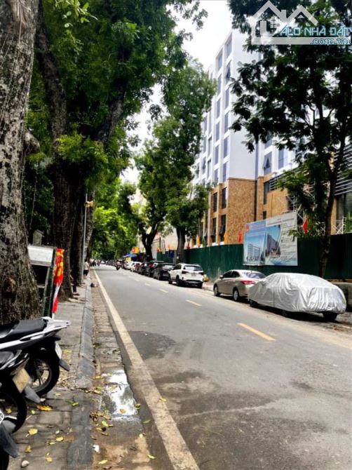 4235868 ảnh đại diện 2