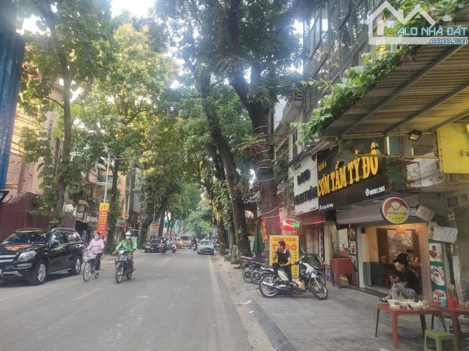 4237684 ảnh đại diện 1