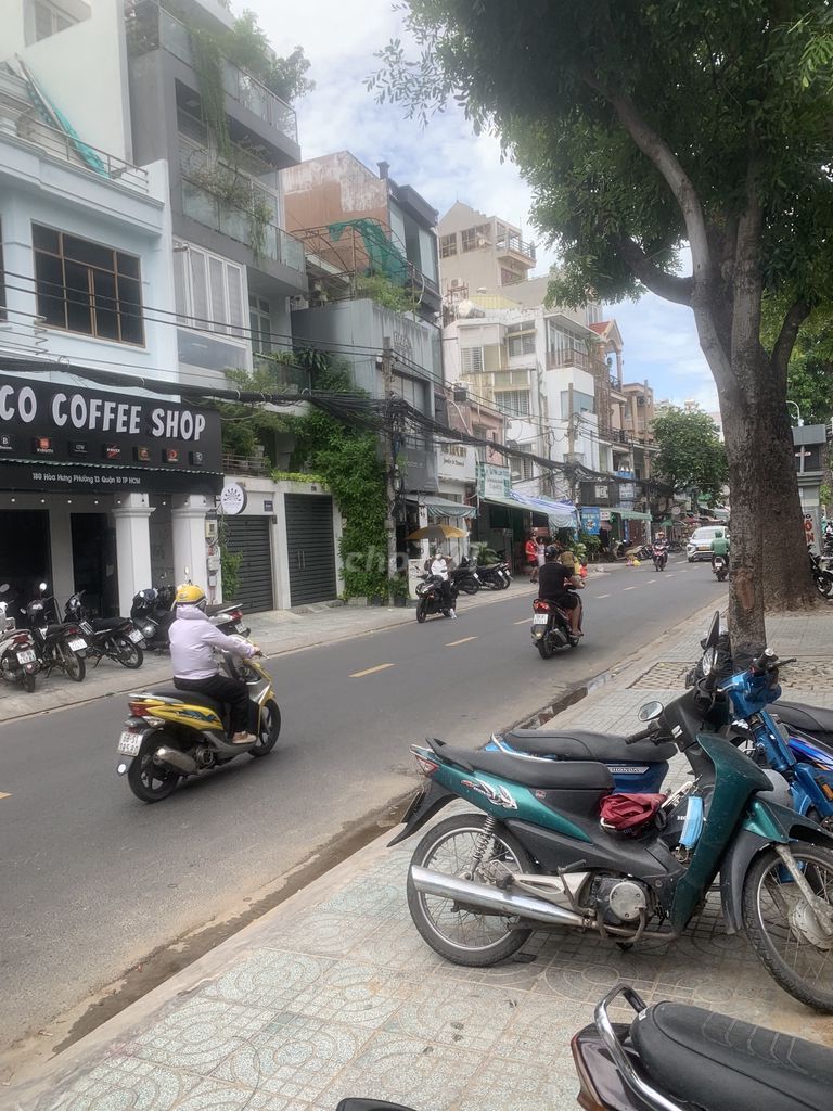 4237064 ảnh đại diện 2