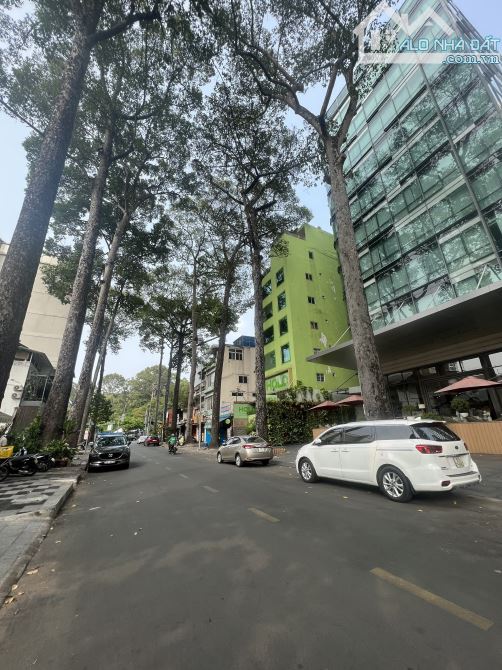 4236846 ảnh đại diện 1