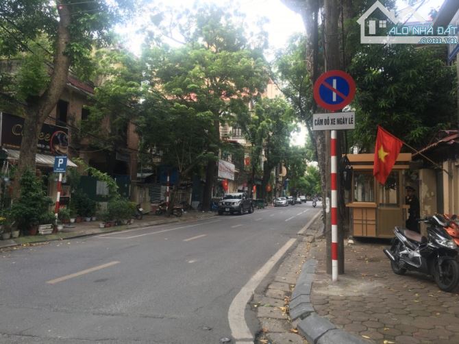 4235880 ảnh đại diện 1