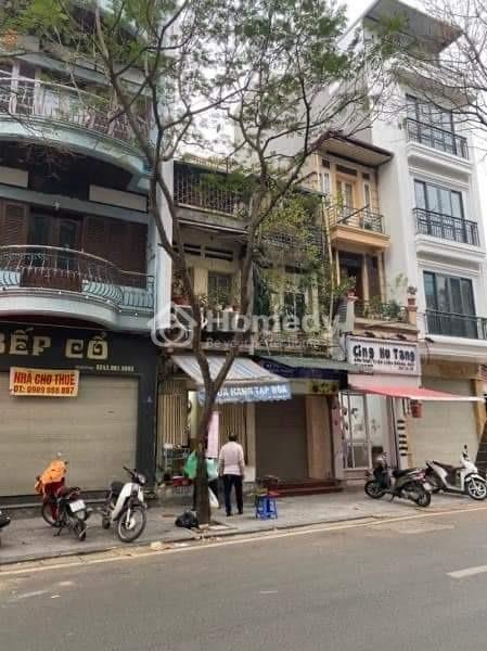 4237686 ảnh đại diện 2