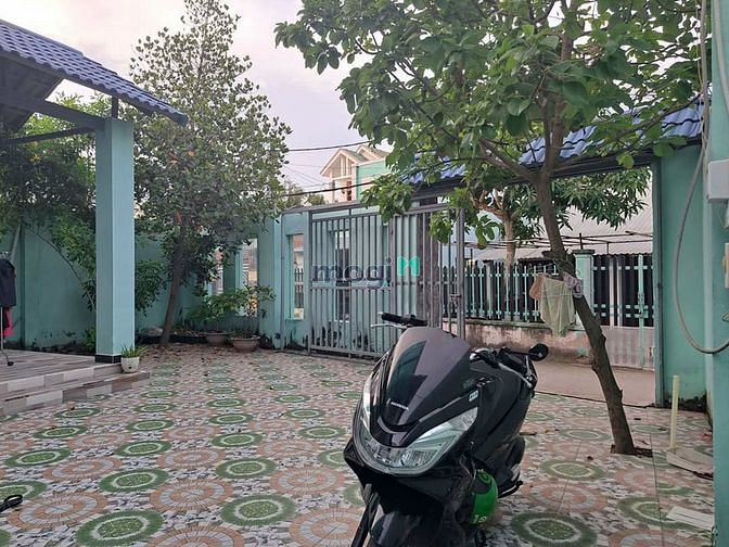 4237617 ảnh đại diện 1