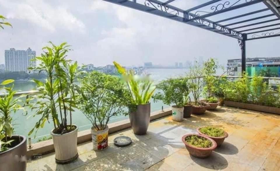 4239104 ảnh đại diện 1